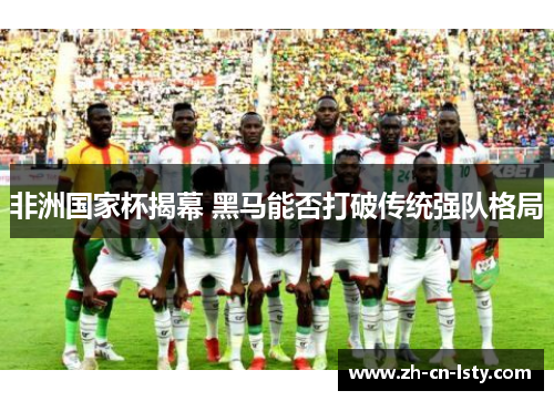 非洲国家杯揭幕 黑马能否打破传统强队格局 非洲国家杯揭幕 黑马能否打破传统强队格局